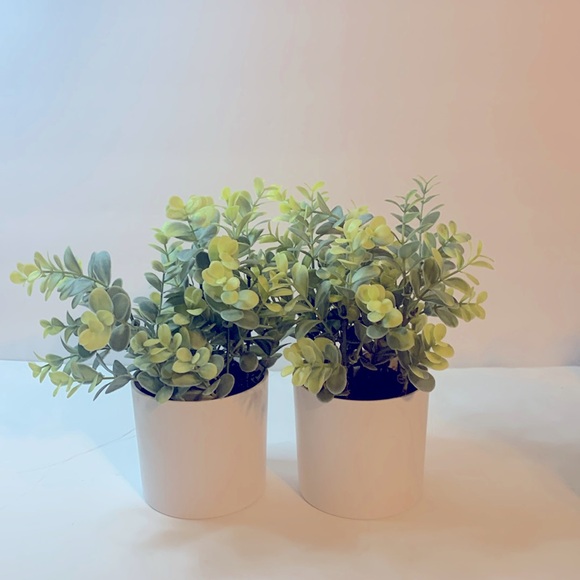 Greenery Two Green Scrub Fake plants really nice New - Picture 1 of 4